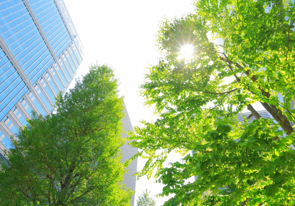 都会で感じる太陽の光、初夏